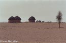 Wasteland